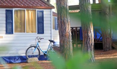 pinetasulmarecampingvillage it programma-eventi-natale-cesenatico 065