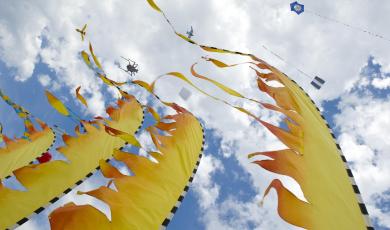 pinetasulmarecampingvillage en offer-weekend-june-camping-cesenatico-with-free-stay-for-children 066