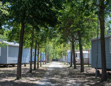 pinetasulmarecampingvillage it offerta-luglio-campeggio-economico-cesenatico-per-famiglie 027