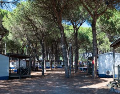 pinetasulmarecampingvillage en offer-nove-colli-in-mobile-home-with-parking-and-wi-fi-on-campsite-in-cesenatico 042