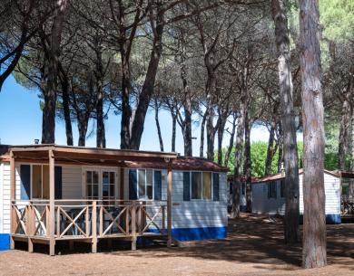 pinetasulmarecampingvillage en offer-autumn-weekend-in-cesenatico-at-campsite-with-pinewood-near-the-centre 042