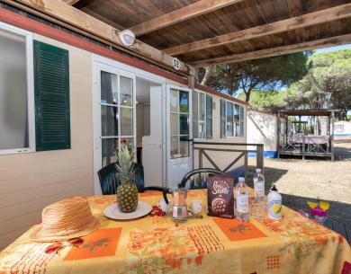 pinetasulmarecampingvillage en offer-weekend-on-april-25-cesenatico-in-camping-admist-sea-and-pinewood-with-mobile-homes-for-4-people 042