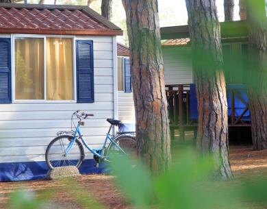 pinetasulmarecampingvillage en june-holiday-offer-in-cesenatico-free-for-children 024