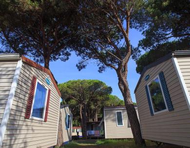 pinetasulmarecampingvillage en occasion-in-august-on-campsite-in-cesenatico-with-affordable-mobile-homes 041