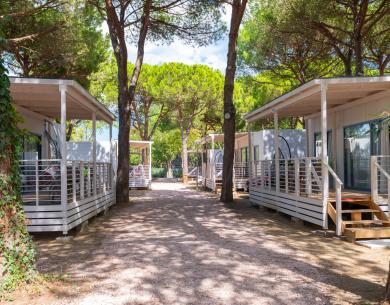 pinetasulmarecampingvillage it offerta-sagra-il-pesce-fa-festa-cesenatico 023