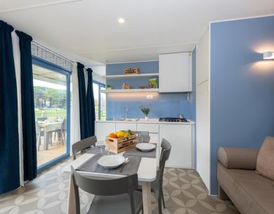 Bright, cozy kitchen with a view of greenery, table set.