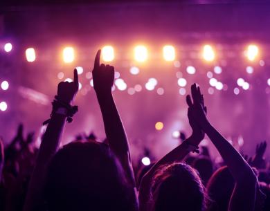 Cheering crowd under colorful lights, electric concert atmosphere.