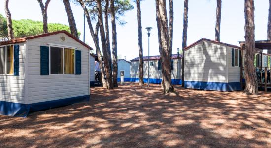 pinetasulmarecampingvillage en offer-weekend-june-camping-cesenatico-with-free-stay-for-children 038