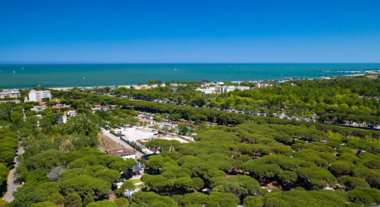 pinetasulmarecampingvillage en offer-for-the-weekend-of-immaculate-conception-in-cesenatico-on-campsite-near-christmas-markets 037