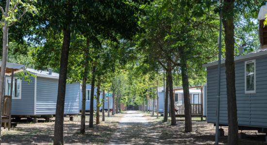 pinetasulmarecampingvillage en offer-for-weekend-on-may-1st-cesenatico-seaside-near-the-pine-forest-with-mobile-home 038