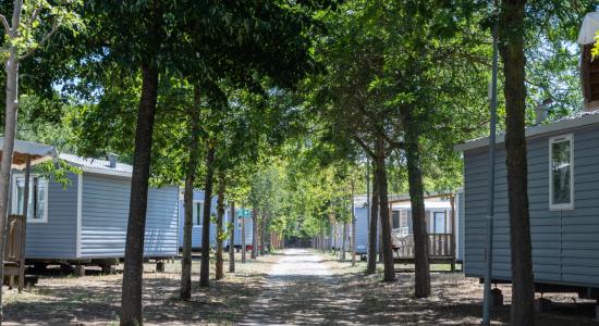 pinetasulmarecampingvillage it offerta-speciale-per-festival-azzurro-come-il-pesce-a-cesenatico 038