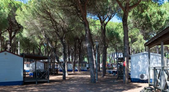 pinetasulmarecampingvillage fr offre-pour-course-cycliste-nove-colli-en-mobil-home-au-camping-a-cesenatico 037