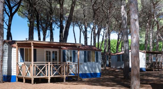 pinetasulmarecampingvillage en offer-easter-holidays-by-campsite-in-cesenatico-with-entertainment-and-shuttle-bus-to-the-centre 037