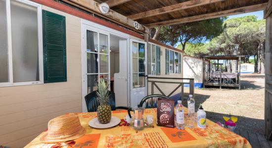 pinetasulmarecampingvillage en offer-weekend-on-april-25-cesenatico-in-camping-admist-sea-and-pinewood-with-mobile-homes-for-4-people 037