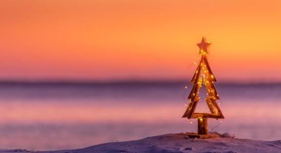 pinetasulmarecampingvillage en offer-for-the-weekend-of-immaculate-conception-in-cesenatico-on-campsite-near-christmas-markets 034