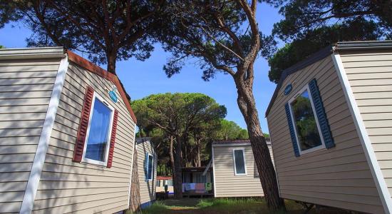 pinetasulmarecampingvillage en occasion-in-august-on-campsite-in-cesenatico-with-affordable-mobile-homes 036