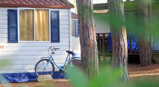 pinetasulmarecampingvillage en offer-weekend-june-camping-cesenatico-with-free-stay-for-children 034