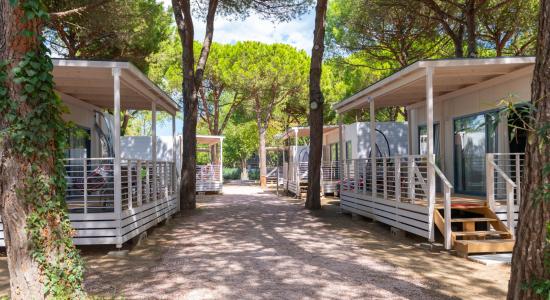 pinetasulmarecampingvillage fr offre-festival-il-pesce-fa-festa-cesenatico 034