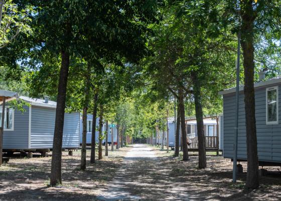 pinetasulmarecampingvillage de angebot-juli-cesenatico-camping-mit-housing-tent 022