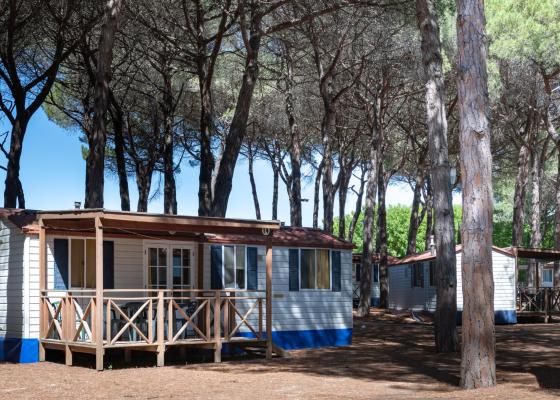 pinetasulmarecampingvillage en offer-autumn-weekend-in-cesenatico-at-campsite-with-pinewood-near-the-centre 021