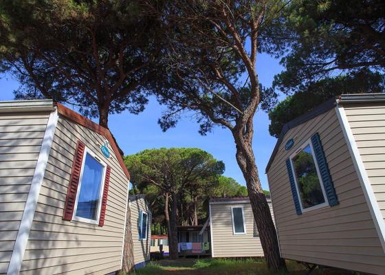 pinetasulmarecampingvillage it offerta-vacanze-giugno-a-cesenatico-con-bimbi-gratis 020