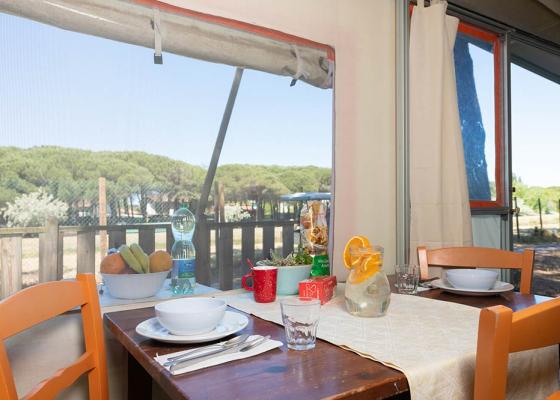 pinetasulmarecampingvillage en offer-hobie-cat-european-championship-cesenatico-on-campsite-with-pool 020