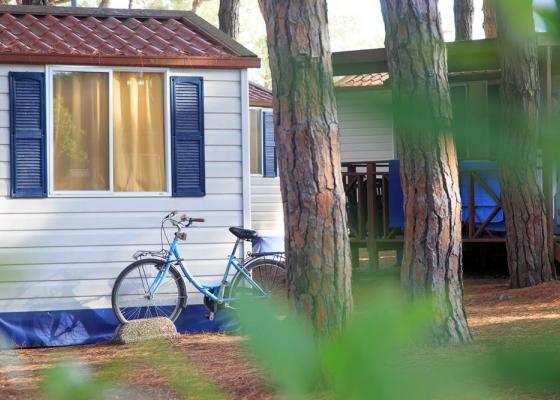 pinetasulmarecampingvillage it offerta-luglio-campeggio-economico-cesenatico-per-famiglie 019