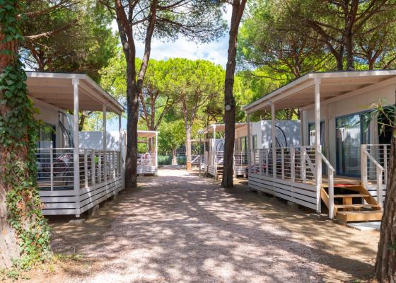 pinetasulmarecampingvillage it offerta-sagra-il-pesce-fa-festa-cesenatico 018